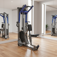 Appareil de musculation professionnel Kaishi HM-3012 en acier, réglable et durable, pour l'entraînement des muscles du dos, des épaules et du tronc, avec pile de poids de 138 kg