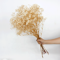 Bunga Gypsophila Kering Putih Awet 60cm untuk Kerajinan DIY Dekorasi Thanksgiving Pernikahan