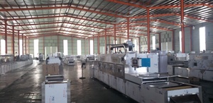 Máquina secadora de microondas industrial automática Máquina secadora de <span class=keywords><strong>gusanos</strong></span> BSF Maquinaria de microondas para hojas Secador de túnel de microondas - Product Image 5
