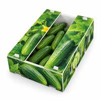 Plateau de transport de légumes en polypropylène ondulé personnalisé 500x300x170mm 3mm 650GSM Impression CMYK avec languettes d'empilage