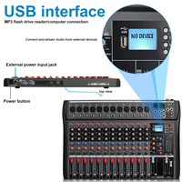Depusheng DX12 Table de mixage audio professionnelle USB 48V Alimentation fantôme Console DJ Console de mixage audio 12 canaux
