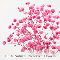 Diffuseur de parfum en verre transparent avec fleurs séchées naturelles, idéal pour les mariages, les fêtes, les cadeaux et l'ambiance intérieure.
