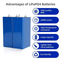 Batteries lithium-ion prismatiques LiFePO4 de qualité entrepôt, stock UE, 304 Ah 3,2 V, 12000 cycles, 60C, température de fonctionnement, garantie 5 ans, CE