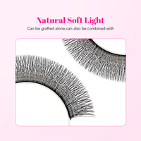 Extensions de cils TDANCE Dark Matte en plateaux, vente en gros, forme en V, cils naturels doux et légers, V-W 3D 4D 5D