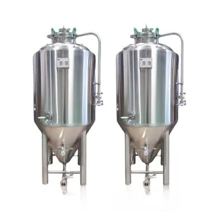 TES Stainless steel 500L Small Craft Beer Filling Equipment Original Pulp Brewing Machine Craft Beer Brewing Equipment