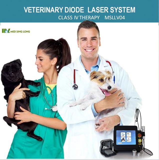 Veterinary Vet therapy laser