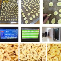 Déshydratation industrielle pour fruits et légumes / Sécheuse Machine de séchage des fruits Déshydrateur de fruits Machine de séchage des fruits