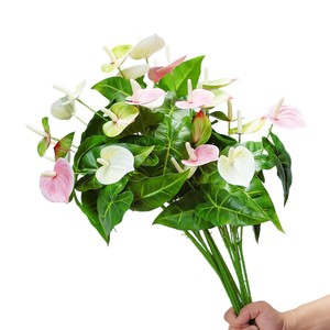Flores Artificiales de Anturio Meng Jie, Arreglo de Seda y Plástico en Rosa y Verde para Decoración del Hogar y Bodas - Product Image 5