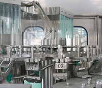 Machine de capsulage remplissante de rinçage d'eau de bouteille en plastique liquide automatique de 1 litre
