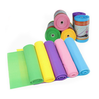 Bandas de Resistencia para Hacer Ejercicio, Bandas de Fisioterapia, Bandas Elásticas y de Ejercicio
