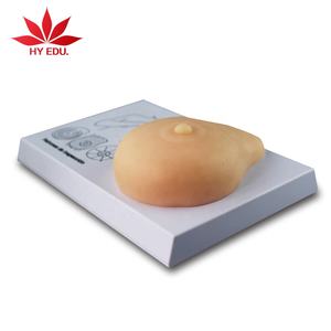Simulator Pemeriksaan Payudara Model Lanjutan Model Anatomi Payudara - Product Image 2