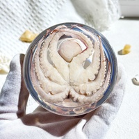 Magnifiques créatures marines : Pieuvre réelle dans une demi-dôme en résine Lucite – Décoration de bureau, spécimens pédagogiques, souvenirs d'aquarium, cadeaux