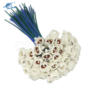 2 Pin ô tô Nam nối đèn sương mù dây nịt - Product Image 5