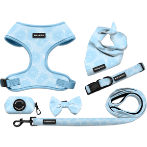 Tali kekang anjing peliharaan tarik Premium bayi biru cetak kustom kualitas tinggi Hari Valentine 2024 Set kerah timah - Product Image 1