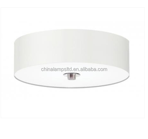 Lámpara de Techo Moderna con Difusor Acrílico, Certificada por UL, 2 Bombillas, Estilo Hilton Hampton Inn Suite, Montaje en Superficie - Product Image 1