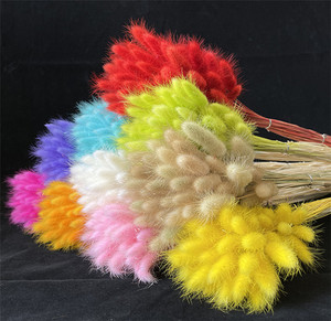 Bouquet de Queues de Lièvre Herbe Naturelle Séchée Arrangement Floral Préservé <span class=keywords><strong>Lagurus</strong></span> Ovatus Style Bohème pour Décoration de Pâques Mariage Maison - Product Image 2