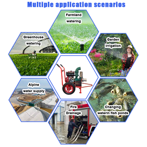 Handcart Type Diesel Water Pump Mobile Agricultural <b>Irrigation</b> <b>Sprinkler</b> Pump - Product Image 6