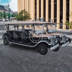 Voiture électrique classique de haute qualité à bas prix approuvée CE 2025, toutes les nouvelles voitures électriques anciennes, voiture électrique de tourisme - Product Image 5