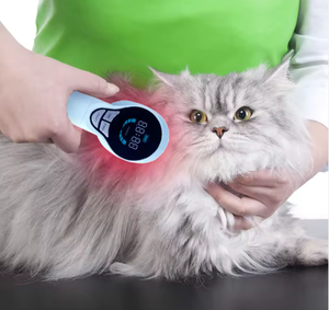 Terapi Foto untuk Hewan, Pereda Nyeri, Pengobatan Artritis, Penyembuhan Luka, Terapi Cahaya, Laser Medis Veteriner untuk Hewan Peliharaan - Product Image 1