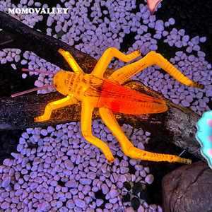 ไฟสวนกลางแจ้งแมลง LED หลายสไตล์สำหรับตกแต่งในงานรื่นเริงด้วยธีมธรรมชาติราคาโรงงาน - Product Image 2