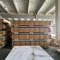 La Chine fournit des panneaux d'autocollants auto-adhésifs étanches en feuille de plastique Panneau mural en marbre UV Décoration intérieure