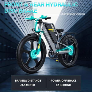 Moto Elettrica da Fuoristrada per Adulti T26, Motore 1500W, Batteria al Litio 48V 25Ah, Autonomia 60Km, Freno a Disco - Product Image 6