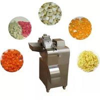 Fruit- en groentesnijmachine, -schaafmachine, -blokjesmachine, -hakmachine, universele snijder, snijmachine, snijder, hakselaar, motor, roestvrij staal 304