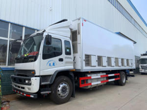 Camion de transport de poussins isolé fiable de 7,2 m avec ventilateurs et caisses multi-niveaux pour la distribution en couvoirs et fermes - Product Image 5