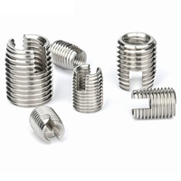 302 Type Slotted Tapping Inserts for Precision Fastening Solutions