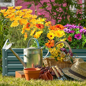 Wholesale 47.2"x47.2"x7.87" Rectangular Rraised Garden Bed Box With Steel Frame <b>for</b> Vegetables Flowers <b>Herbs</b> - Product Image 4