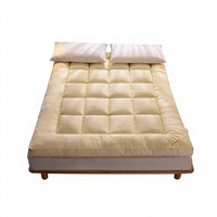 Matelas de sol pliable et portable Tatami, matelas moelleux et respirant, utilisation toutes saisons
