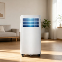 Climatiseur portable 10000 Btu, refroidissement simple, compact, sans installation requise, compresseur à fréquence fixe