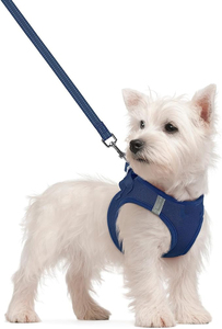 Custom Dog Harness With Leash Set Fast Drying Puppy Vest Adjustable Leash Reflective Stripes <b>Step</b>-In Breathable Mesh Dog Harness - Product Image 2