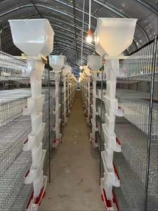 Capannone Intelligente per Allevamento Avicolo - Controllo IoT di Alimentazione, Abbeveraggio e Illuminazione - Product Image 6