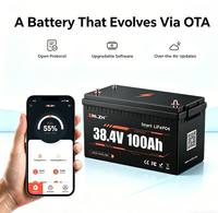 Batterie lithium-ion étanche à décharge profonde Enlzh 38,4 V avec Bluetooth et affichage, pack de batteries LiFePO4 38,4 V 100 Ah pour bateaux marins et véhicules électriques