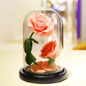 Diseño Popular, flor de rosas rojas eternas preservadas, venta al por mayor, juegos de regalo de grado A, decoración del hogar, regalos de recuerdo para ceremonia de boda