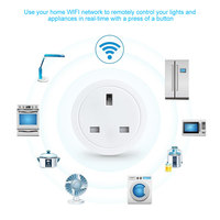 Produk Terlaris Khusus UK Kontrol Suara Tuya Smart WiFi Kontrol Jarak Jauh Steker 16A dengan Fungsi Pengukuran PST-BSD48