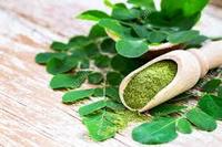 Clorofila en Polvo de Grado Alimenticio, Extracto Herbal de Hoja, Secado por Aire Caliente, Todas las Estaciones, Fabricación y Suministro OEM ODM con Marca Privada