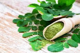 Fabrication et fourniture de marque privée OEM ODM de poudre de Moringa Oleifera de haute qualité - Product Image 2