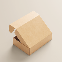 Boîte d'expédition d'expédition imprimée de logo personnalisé 32ECT écologique et dégradable de haute qualité avec mat vanish