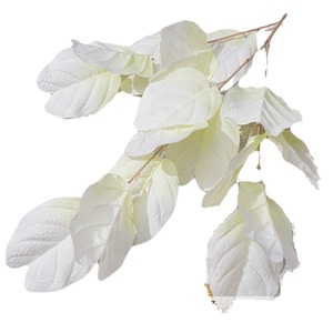 Follaje Blanco Decorativo, Flor de Seda para Bodas, Accesorios de Fotografía para Exteriores, Moldeado por Inyección Hecho a Mano - Product Image 5
