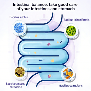 Probiotiques Composés à Haute Activité N4P pour la Santé <span class=keywords><strong>Intestinale</strong></span> des Animaux – Améliore la <span class=keywords><strong>Flore</strong></span> <span class=keywords><strong>Intestinale</strong></span> des Chiens et des Chats – Complément OEM pour Animaux - Product Image 2