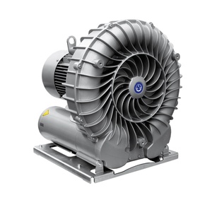 Pompe à vide monophasée Bec-ker originale et neuve SV130/1 SV200/1 SV201/1 SV300/1 SV400/1 SV500/1 SV700/1 SV1100/1 - Product Image 1