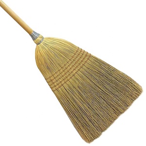 ESD Chất Lượng Cao Ngô Và Lúa Miến Vườn Chổi - Product Image 1