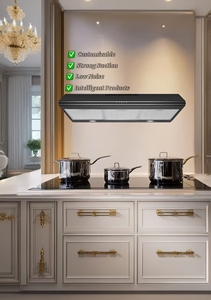 <span class=keywords><strong>Hotte</strong></span> <span class=keywords><strong>aspirante</strong></span> combinée <span class=keywords><strong>professionnelle</strong></span> de type T, plaque chauffante électrique, classe d'efficacité énergétique, largeur 600 mm, OEM commercial - Product Image 6