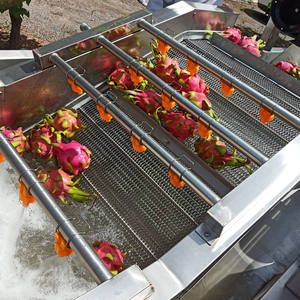 Ozone System Lavadora De Frutas Industrial Fruit Bubble Washing Machine Ozone System Lavadora De Frutas Industrial Fruit Bubble - Product Image 5