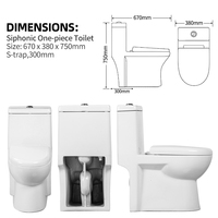 WC monobloc en céramique noir étanche pour femmes et hommes, pour salle de bain