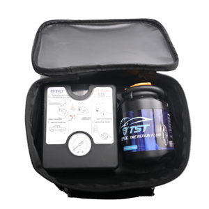 TYRESEALANT Fournisseur direct d'usine Réparation de pneus portable Scellant automobile Pompe à air <span class=keywords><strong>anti</strong></span>-<span class=keywords><strong>crevaison</strong></span> <span class=keywords><strong>Kit</strong></span> de réparation de pneus - Product Image 1
