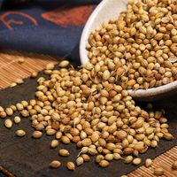 Huaran épices chinoises en gros graines de coriandre séchées jaunes entières pour la cuisson des aliments