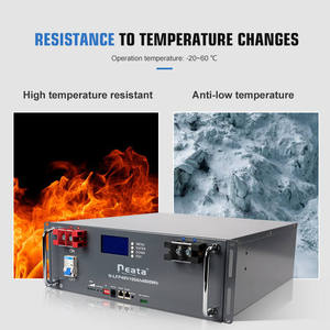 Lifepo4 48v 51.2v <span class=keywords><strong>100ah</strong></span>鉄イオン電池パックLifepo4リチウム電池BMS付きテレコムUPSシステム用 - Product Image 6